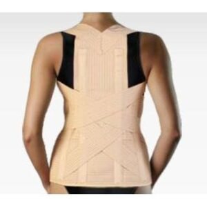 NΑΡΘΗΚΑΣ ΚΟΡΜΟΥ ΕΛΑΣΤΙΚΟΣ TAYLOR