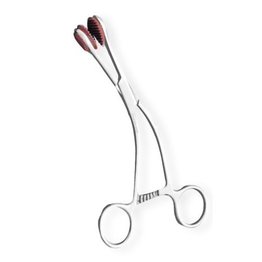 ΓΛΩΣΟΚΑΤΟΧΟ ΑΝΟΞΕΙΔΩΤΟ