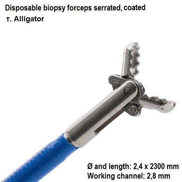 ΛΑΒΙΔΑ ΒΙΟΨΙΑΣ ΕΝΔΟΣΚΟΠΙΟΥ ΧΩΡΙΣ ΑΚΙΔΑ τ. ALLIGATOR