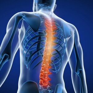 Κορμός & Κοιλιά